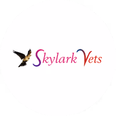 Skylark