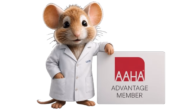 Lupa for AAHA-Accredited practices