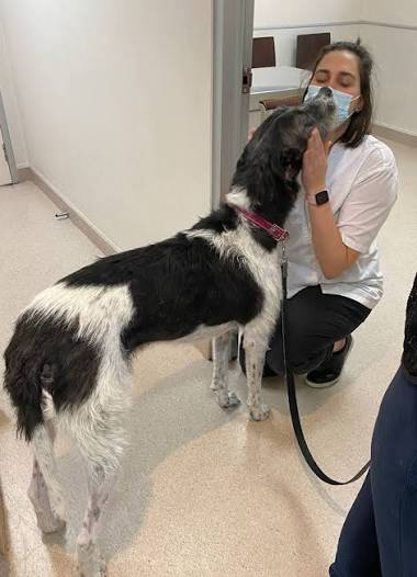 Aisha Thompson with a black and white dog